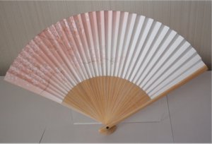 Sakura sur fond blanc