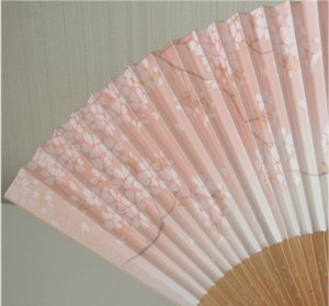 Sakura sur fond blanc