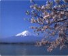 Le Fuji au printemps